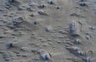 Kleine Salzwste strandseits im Inselosten