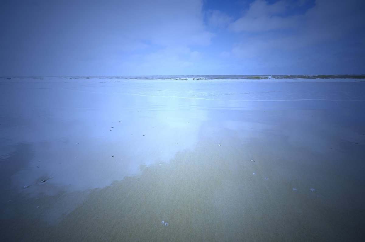 Meeresleuchten :: Baltrum-Online.de