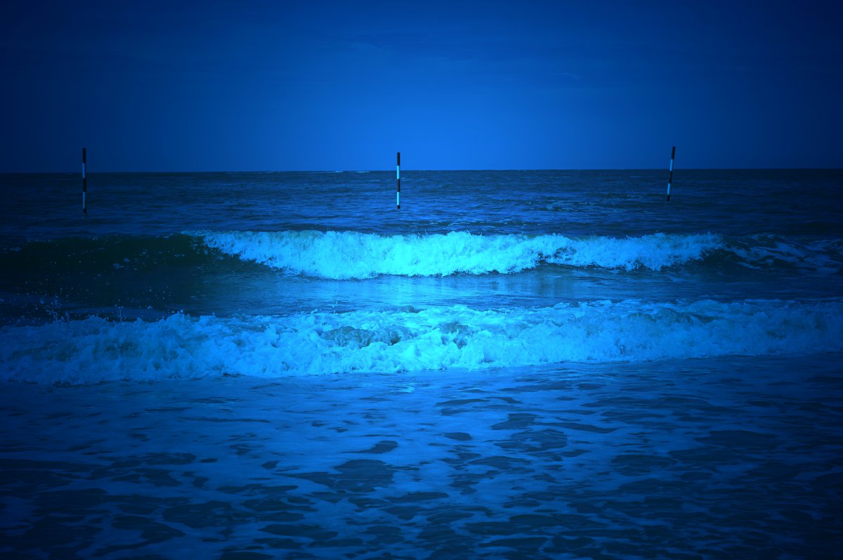 Meeresleuchten :: Baltrum-Online.de