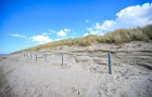 Bald hoffentlich mit Strandkrben