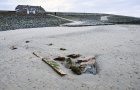 Untergegangene Strandmauerreste