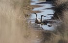Gut versteckt