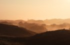 Morgennebel in den Dnen beim NTB im Oktober 2021